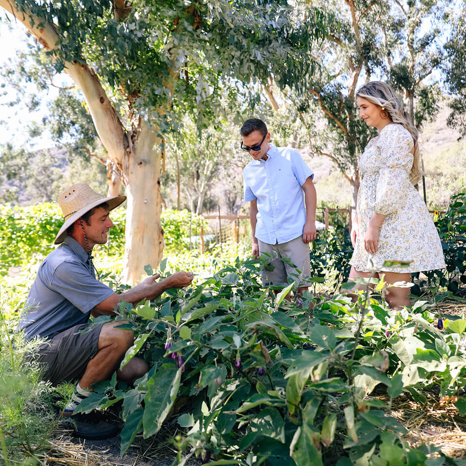 Three individuals in the farm