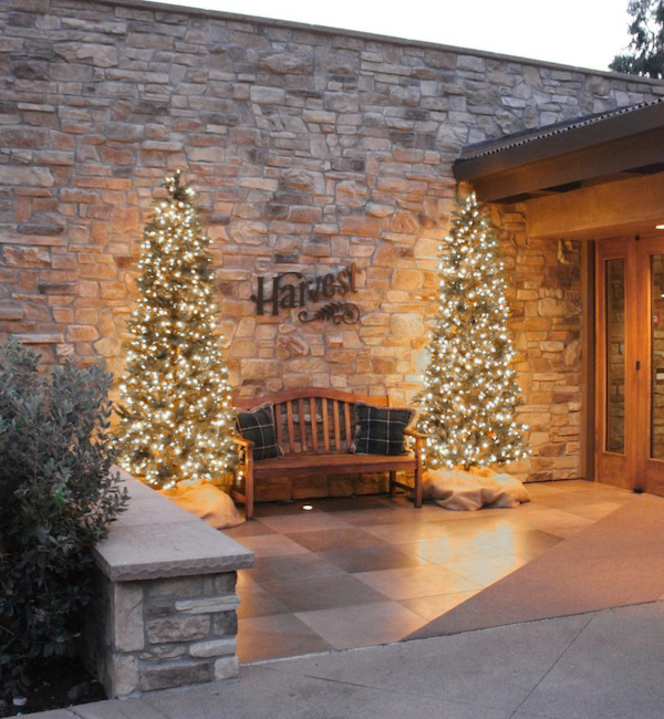 Christmas in Harvest 