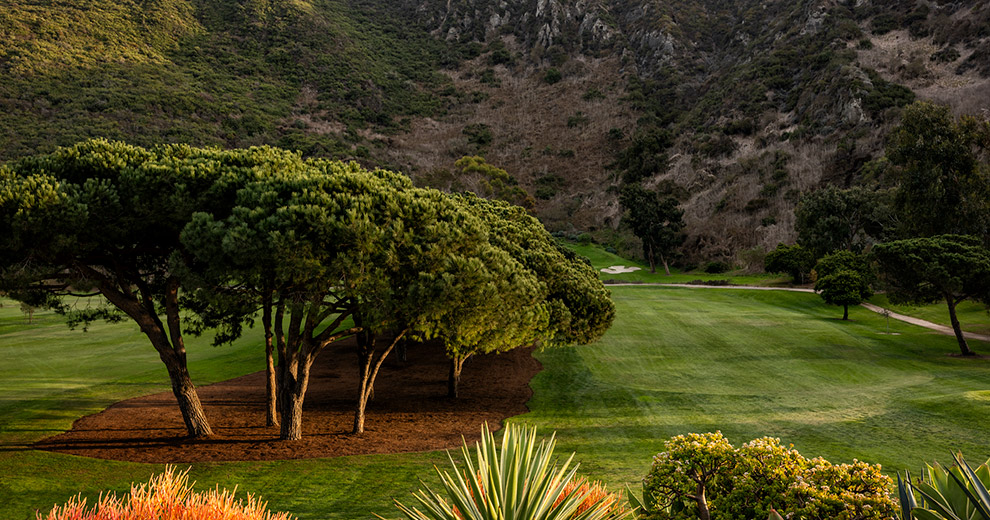 Fairway 1 view.