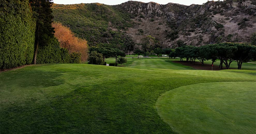 Harvest Lawn