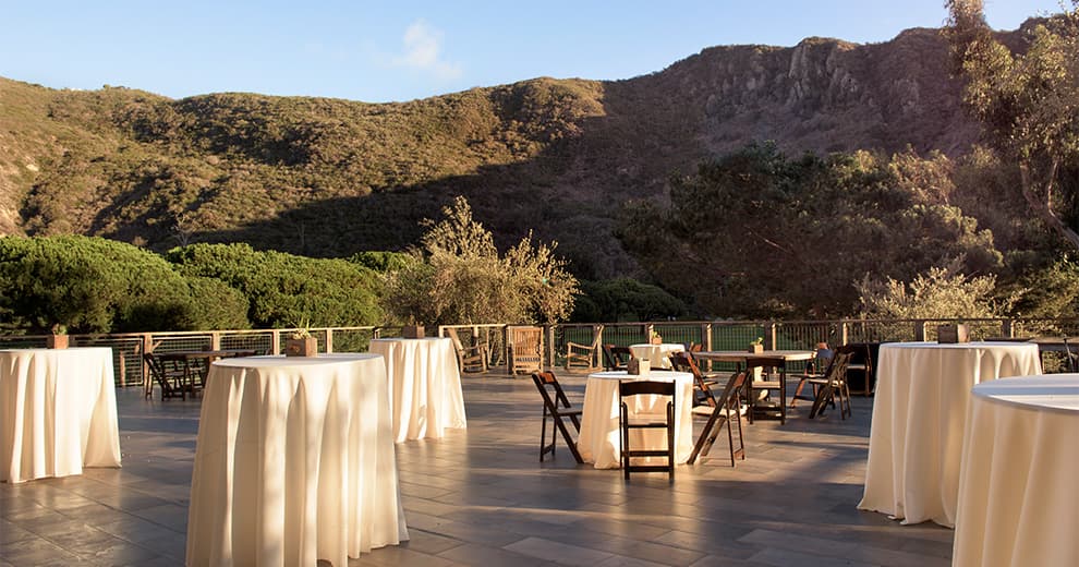 Wedding reception on the patio