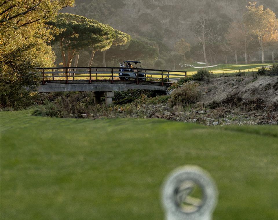 Golf Course & Bridge with Golf Cart driving over it