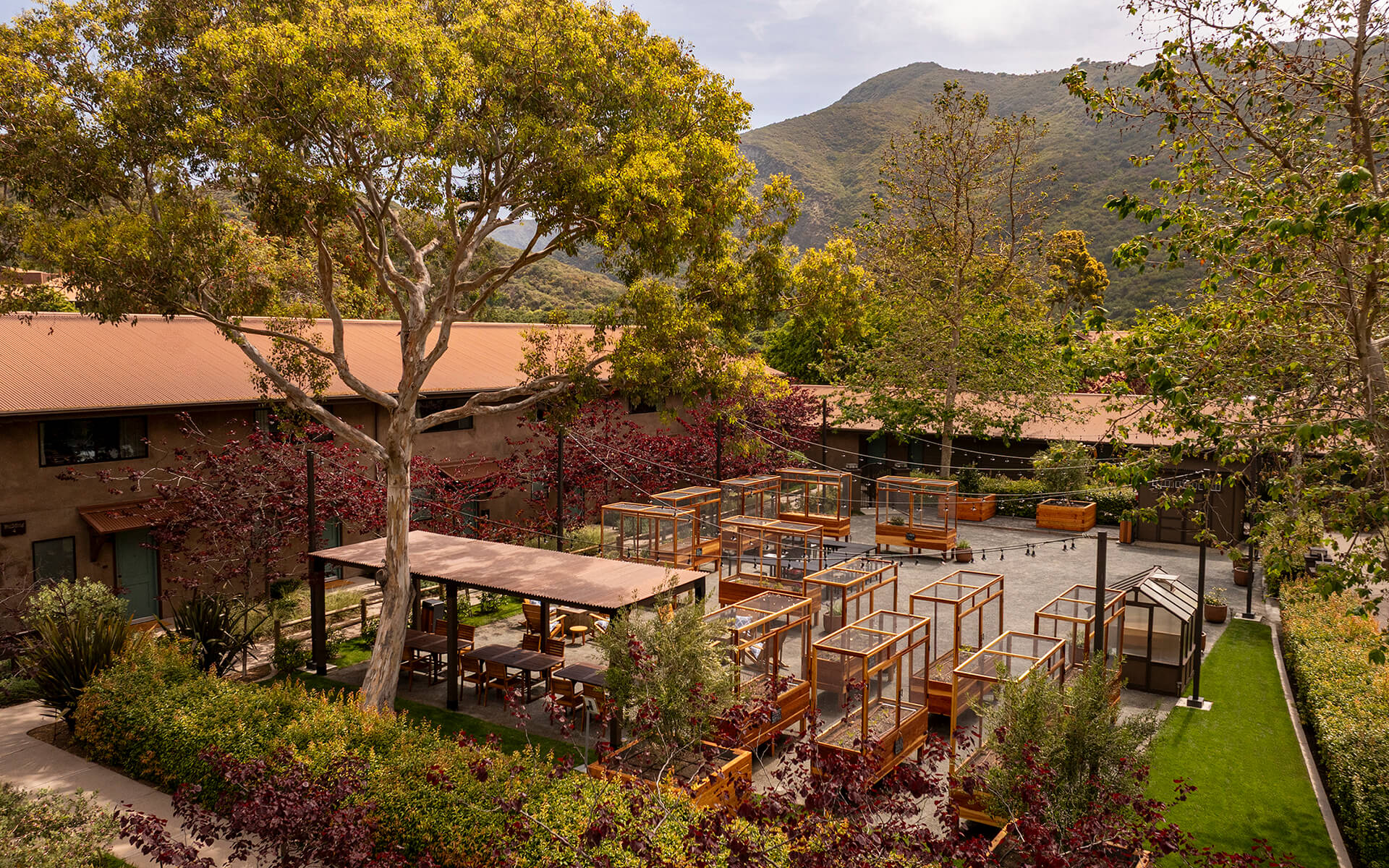Chef's Garden Outdoor patio area with string lights, shrubbery, and trees