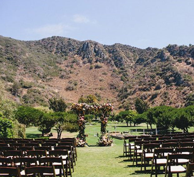Harvest Lawn