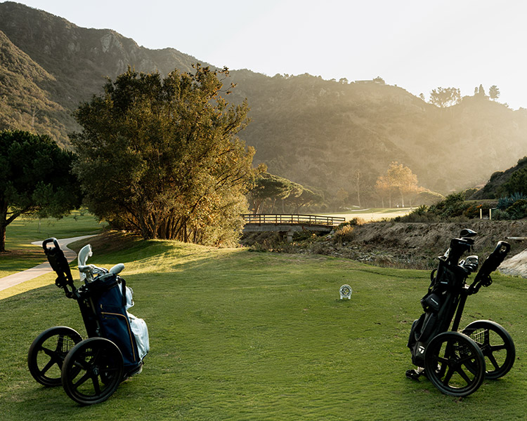 Golf club carriers on the golf course.