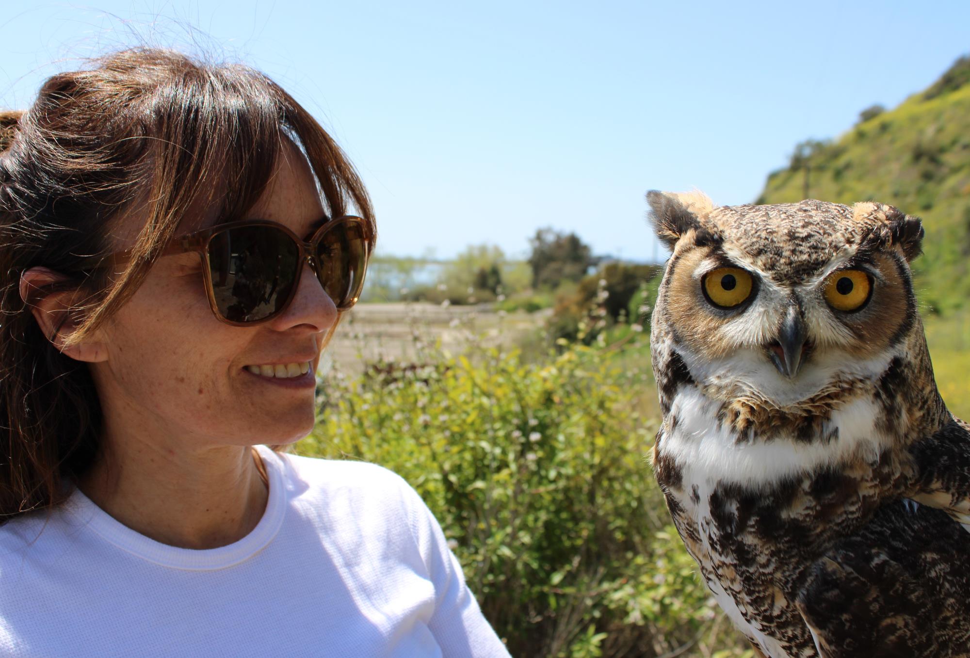 lady holding owl