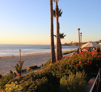 Young's Beach Shack