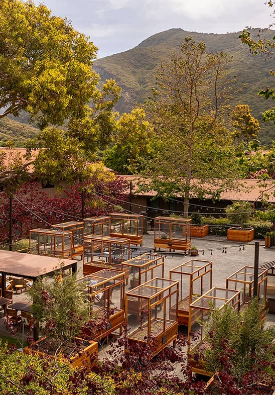 Chef's Garden