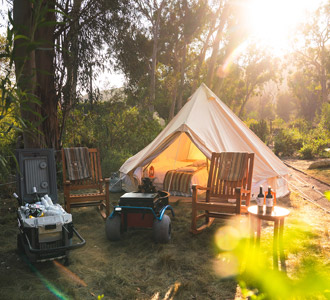 Friends roasting marshmallows