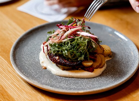 An octopus dish