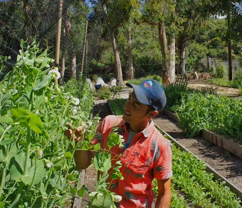Farm Tour